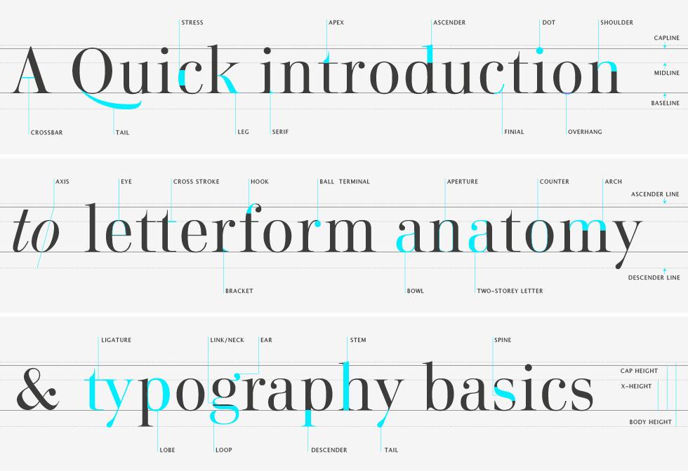 type-glossary-letterform-anatomy